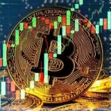 Coin Dcx WazirX - cripto predicciones