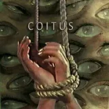 CITS- erotic content