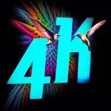 Colibri - 4K photos and videos