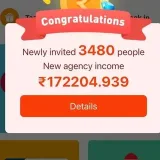 Fiewin - Daily earnings
