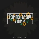 Comfortably Numb - deep songs