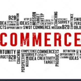 Commerce & Accountancy UPSC - подготовка
