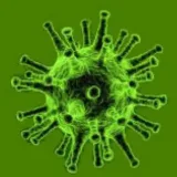 Corona Virus Informationen - Правда о вирусе