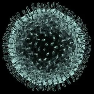 Новости Бразилии - Coronavirus