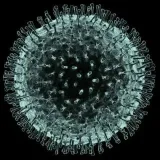 Brasil noticias -Coronavirus