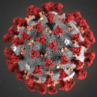 CoronaVirus Italia - COVID-19
