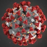 CoronaVirus Italia-COVID-19