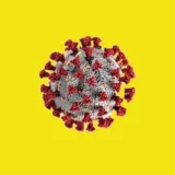 CoronavirusInfocom - Инфо