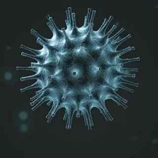 Coronavirus News - Мир