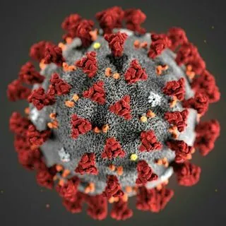 Coronavirus Veneto - обновления