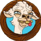 Crazy Llama - проект TON