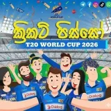 Cricket News- cricket news.