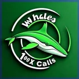 Whales Calls - китовые коллы