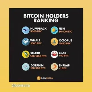 Coin Dcx | Wazir X | Binance | Coin switch Free