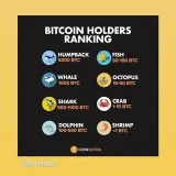 Coin Dcx | Wazir X | Binance | Coin switch Free