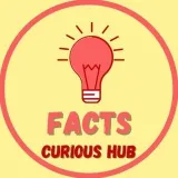 Facts - Curious Hub - удивительные факты