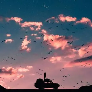 Cute Profiles - красивые профили