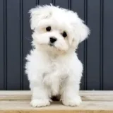Cute and FunVideos- Nice video.