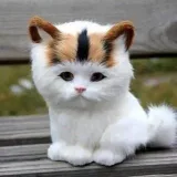 Cute Little Animals - cute animals