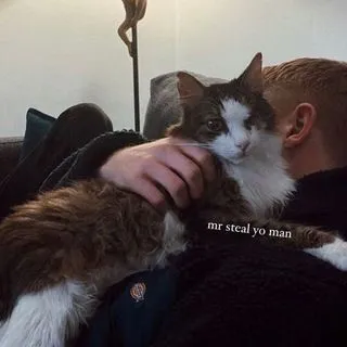 Gif Tofe - анимированные гифки