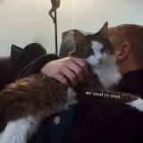 GifTofe - gifs animados