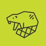 CyberBeaver - безопасность