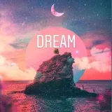 DREAM - Polls and Elections