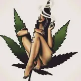 Dancehall 360 - reggae music