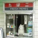 Memes demoníacos