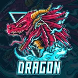 Dargon Store - магазин