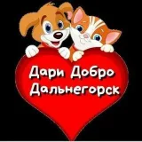 Help Dog Cat Dalas Helping homeless animals