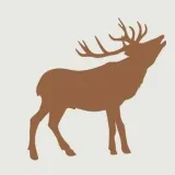 DeerSwap - AMM на BSC