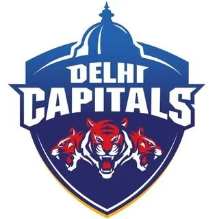 Delhi Capitals fans - фанаты IPL