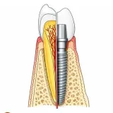 Dental Books Lib - стоматологические книги