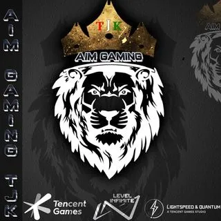Aim Gaming - гейминг видео