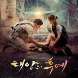 Descendent Of The Sun - Korean Hindi drama
