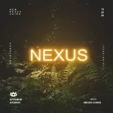 Nexus Dev - разработка софта