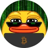 DUCK CRYPTO - Airdrops