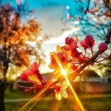 Dezdemona Fotografía - Fotografías del Mundo