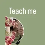 Diana, Teach Me - материалы для учителей