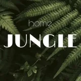 homejungle - комнатные растения