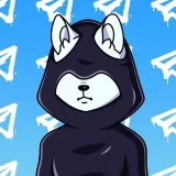 DIGITAL CATS- NFT collection
