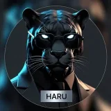 Haru VPN