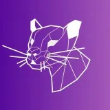 Discord Insider - Новости Discord