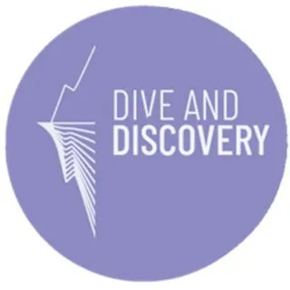 Dive&Discovery - опросы мнений