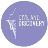 Dive&Discovery - опросы мнений