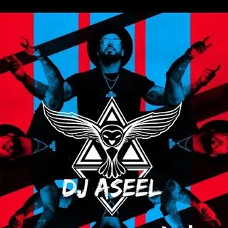Dj AseeL Music - треки и миксы