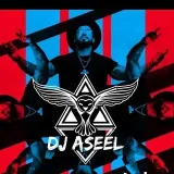 Dj AseeL Music - tracks and mixes