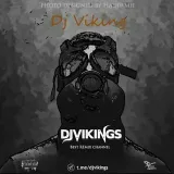 DjVikings - ремиксы и бас