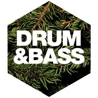 Drum and Bass Archive - FLAC